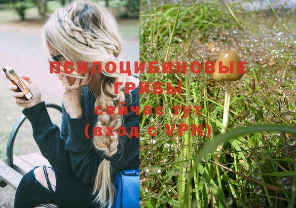 MESCALINE Горняк