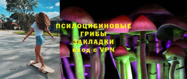 хмурый Горно-Алтайск
